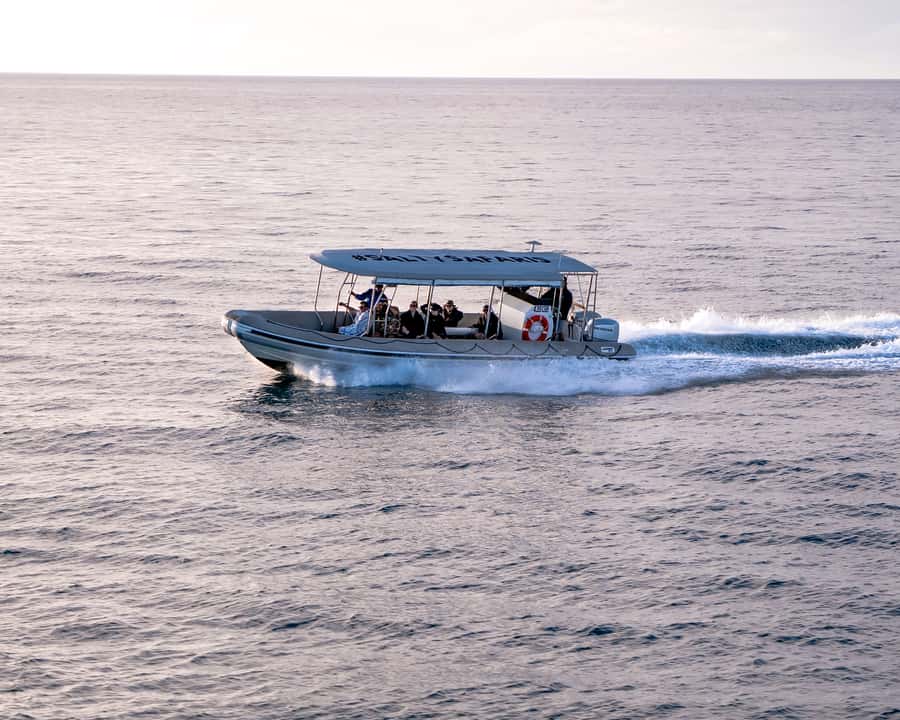 Hervey Bay: Half-Day Whale and Island Adventure by Boat - Who should book this adventure?