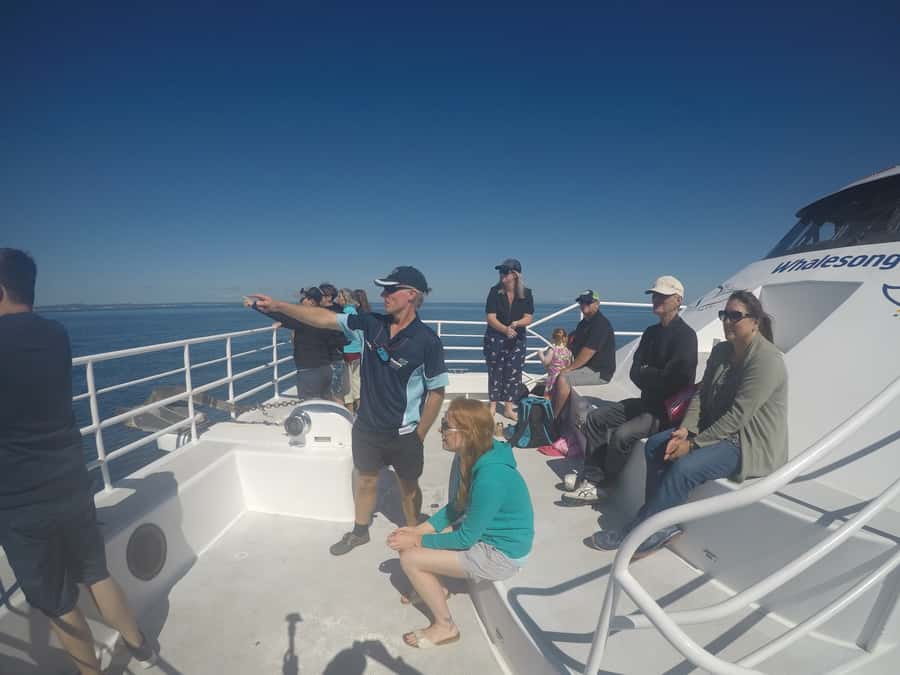 Hervey Bay: Half-Day Whale Watching Cruise with Meal - Who will enjoy this cruise most