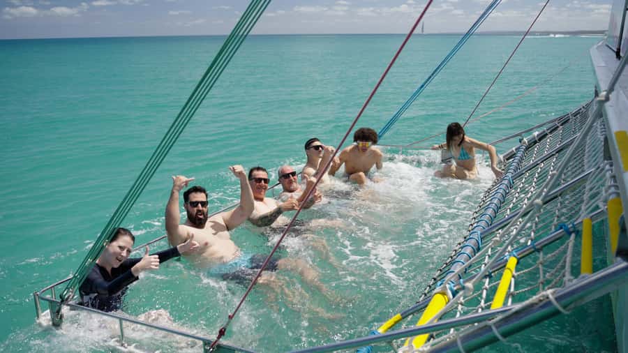 Hervey Bay: K'Gari(Fraser Is) Adventure & Sightseeing Cruise - Watching for dolphins, turtles, and dugongs