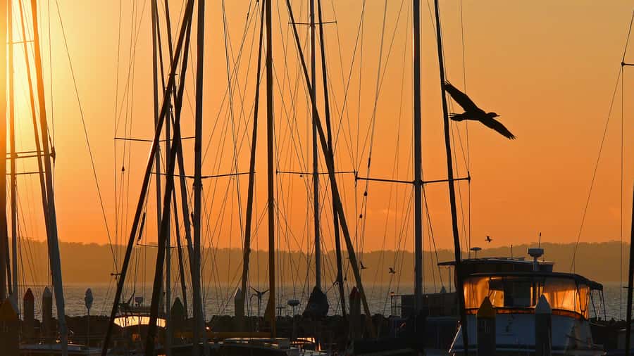Hervey Bay: Relaxing Sunset Cruise with Champagne and Prawns - Weenandin, Round Island, and the shallow-water landing