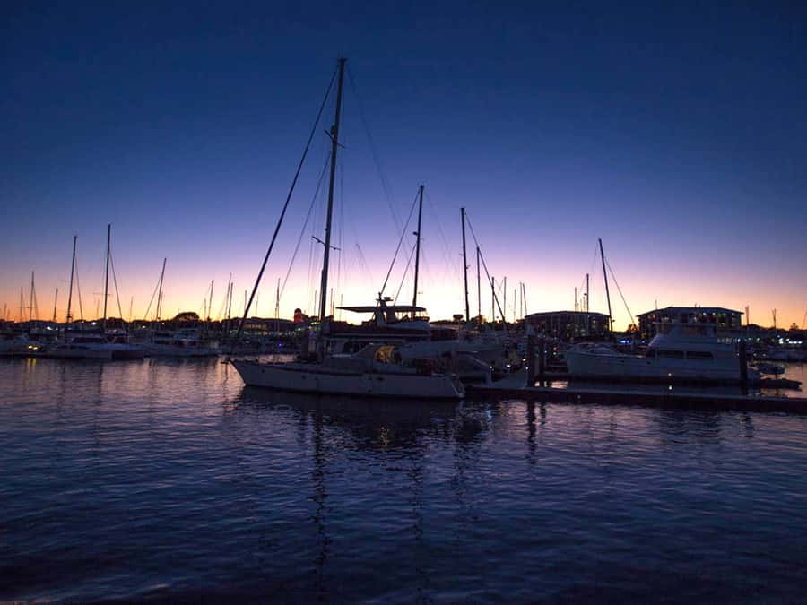 Hervey Bay: Sunset Cruise to Great Sandy Marine Park - Wildlife at dusk: what you might see
