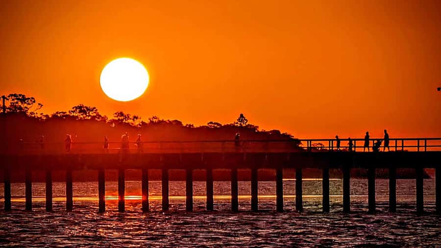 Hervey Bay: Sunset Cruise to Great Sandy Marine Park - Is $38 good value?