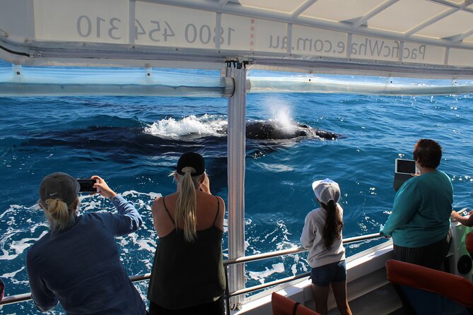 Hervey Bay Ultimate Whale Watching Cruise - Key points at a glance