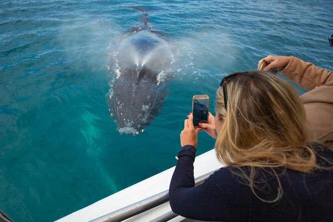 Hervey Bay Ultimate Whale Watching Cruise - Who should book this whale watch