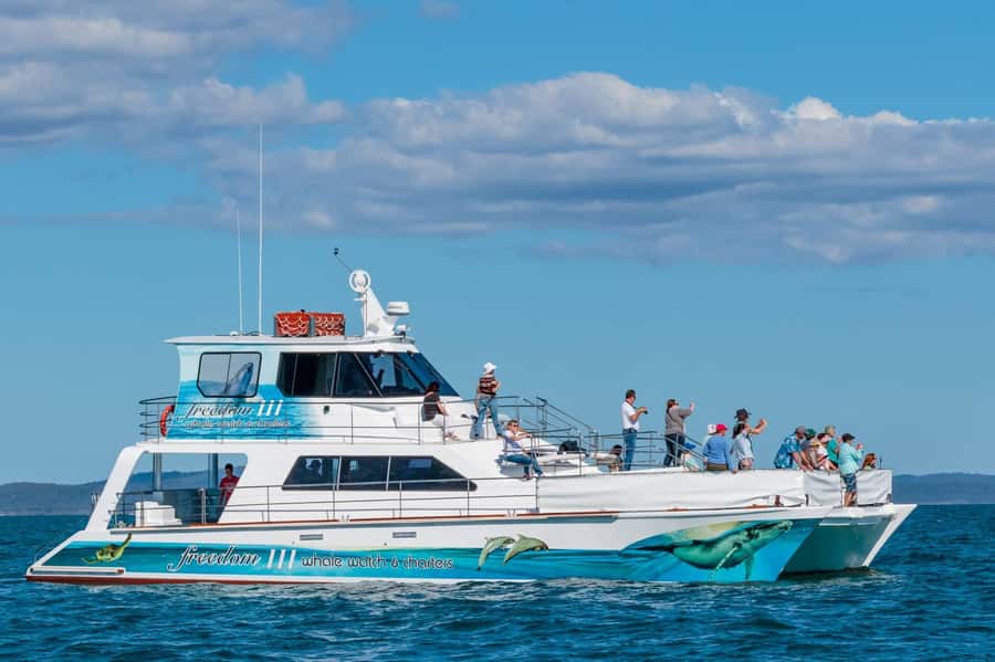 Hervey Bay Whale Odyssey Cruise - Why the timing changes the experience