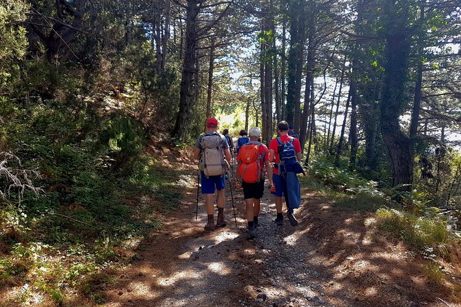 Hiking Vrmac peninsula with panoramic view on Kotor bay - The climb toward Sveti Ilija