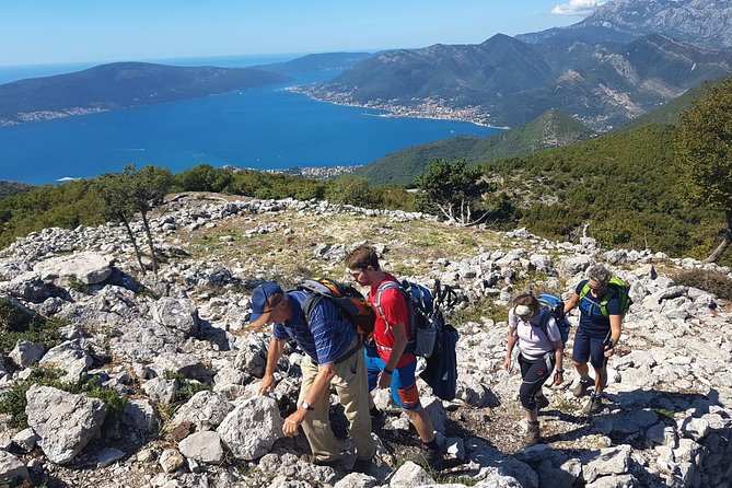 Hiking Vrmac peninsula with panoramic view on Kotor bay - What the guide adds to a private hike
