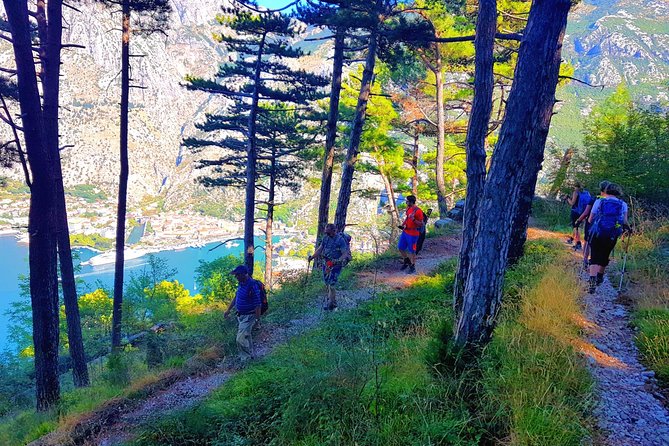 Hiking Vrmac peninsula with panoramic view on Kotor bay - Is $114.48 a fair price?