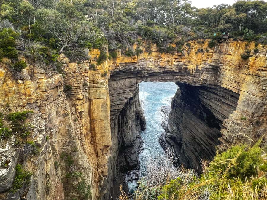 Hobart: Port Arthur, Harbor Cruise and Isle of the Dead Tour - Who will enjoy this day most