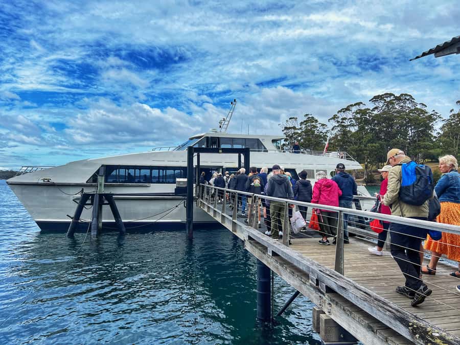 Hobart: Port Arthur, Harbor Cruise and Isle of the Dead Tour - Eaglehawk Neck and the first coastal views