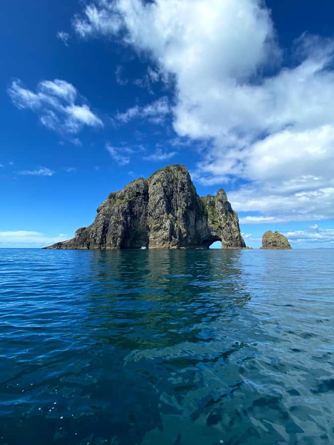 Hole in the Rock Tour & Bay of Islands Cruise - Cruising Among 144 Subtropical Islands