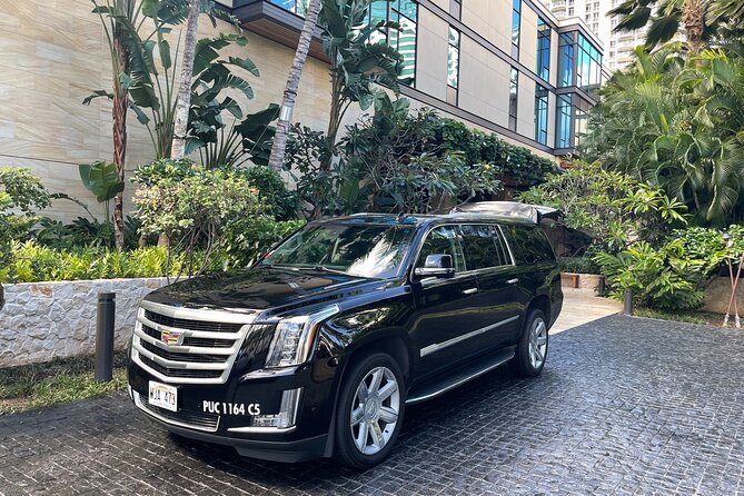 Honolulu Harbor Cruise Terminal Transfer by Luxury Vehicle - The drivers and communication
