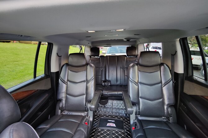 Honolulu Harbor Cruise Terminal Transfer by Luxury Vehicle - Who should book this transfer?