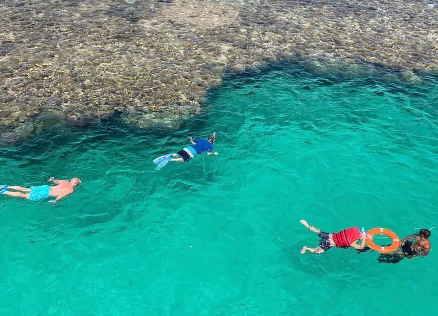 Hurghada: Afternoon Sailing cruise to orange bay with Lunch - The Red Sea snorkeling stop