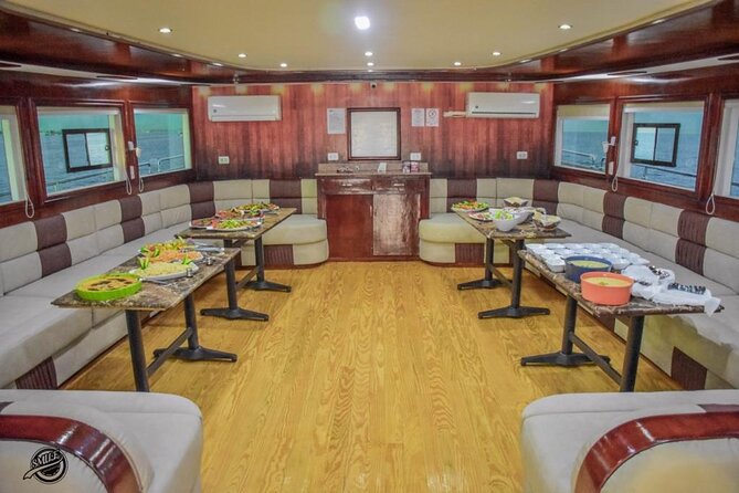 Hurghada: Luxury Cruise to Orange Bay & Hula Hula Island. - Why Dolphin House is the main event