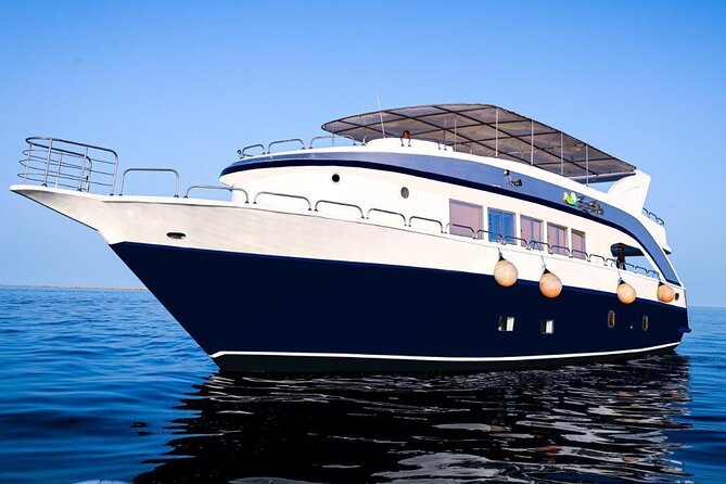Hurghada: Luxury Cruise to Orange Bay & Hula Hula Island. - Who will enjoy this day most
