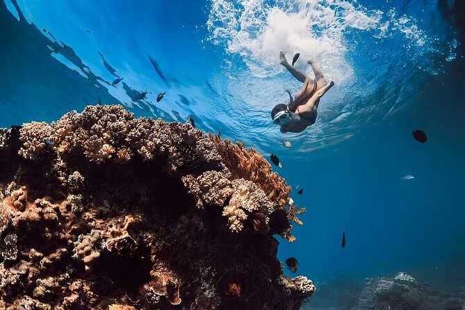 Hurghada Orange Bay boat Trip - Transfers, timing, and group size