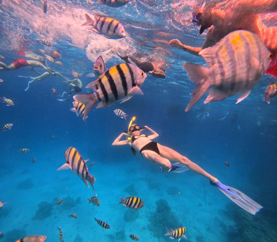 Hurghada: Orange Bay Island Boat Trip w/ Breakfast and Lunch - Getting back to Hurghada