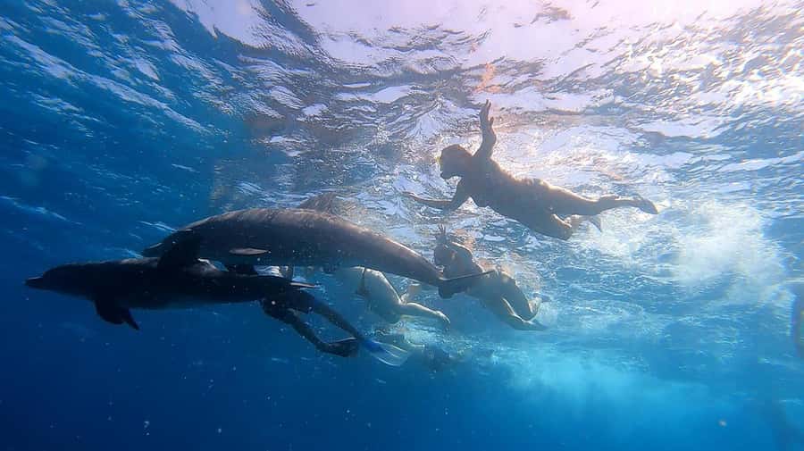Hurghada: Orange Bay Snorkeling cruise and optional diving - Who will get the most from this cruise