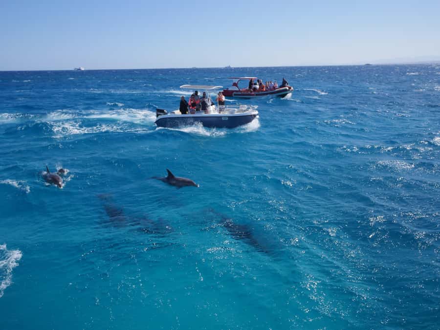 Hurghada: Private Speedboat to Orange Bay and White Island - Nemo Bay and White Island are two names to watch