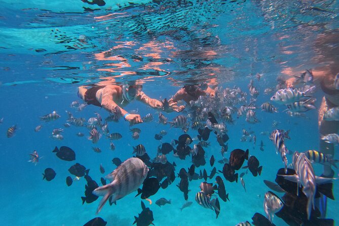 Hurghada Speedboat Trip to Orange Bay and Magawish Islands - A fast route from Hurghada to the Red Sea islands