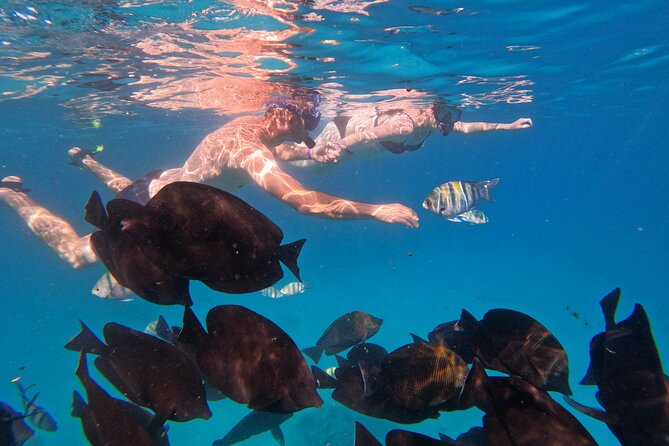 Hurghada Speedboat Trip to Orange Bay and Magawish Islands - Food, drinks, and what is actually included