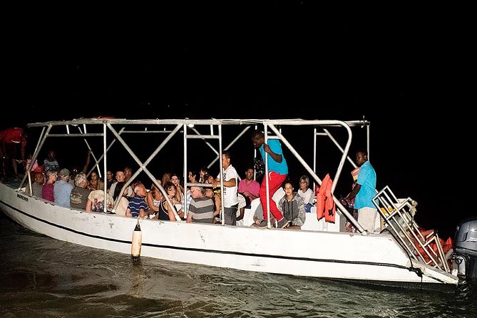 Jamaica Super Saver: Montego Bay & Rose Hall plus Mystic Lagoon Night Cruise - Is $115 a fair price?