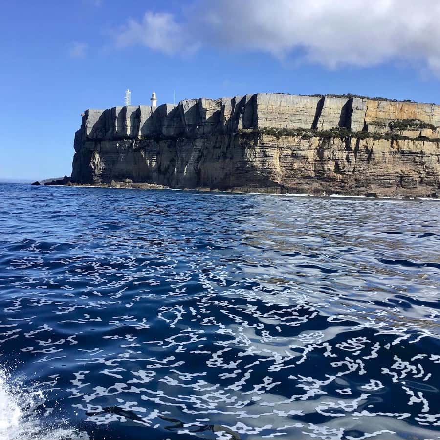 Jervis Bay: 2-Hour Cruise of Jervis Bay Passage - Should You Book the Passage Cruise?