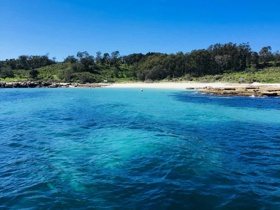 Jervis Bay: 2-Hour Cruise of Jervis Bay Passage - The Guides Make the Scenery More Meaningful
