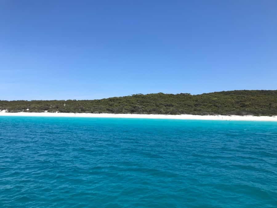 Jervis Bay: 2-Hour Cruise of Jervis Bay Passage - Who Will Enjoy This Jervis Bay Cruise?