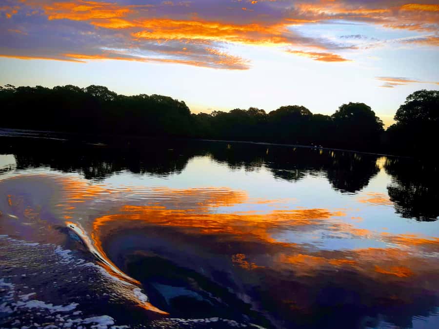 Jervis Bay: 2-Hour Sunset River Cruise - Following the Currambene River Into the Evening