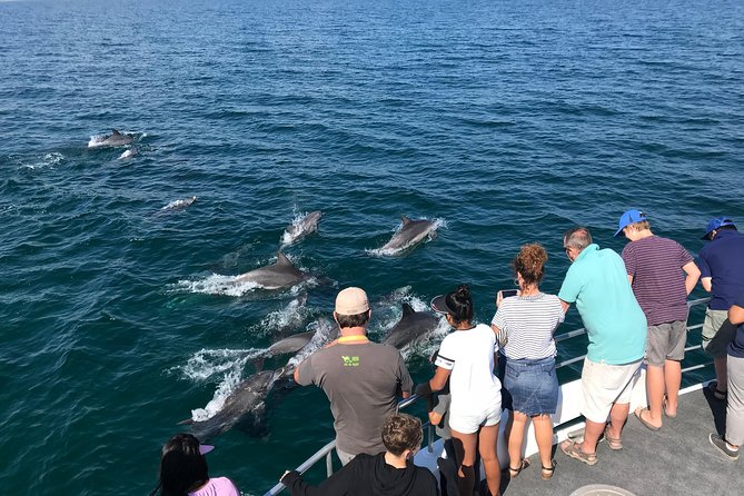 Jervis Bay Dolphin Cruise - Key points to know before boarding