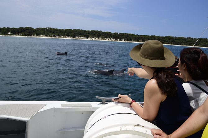 Jervis Bay Dolphin Cruise - Why Jervis Bay is a good place for dolphin watching