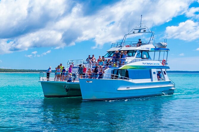 Jervis Bay Dolphin Cruise - What you may see from the deck
