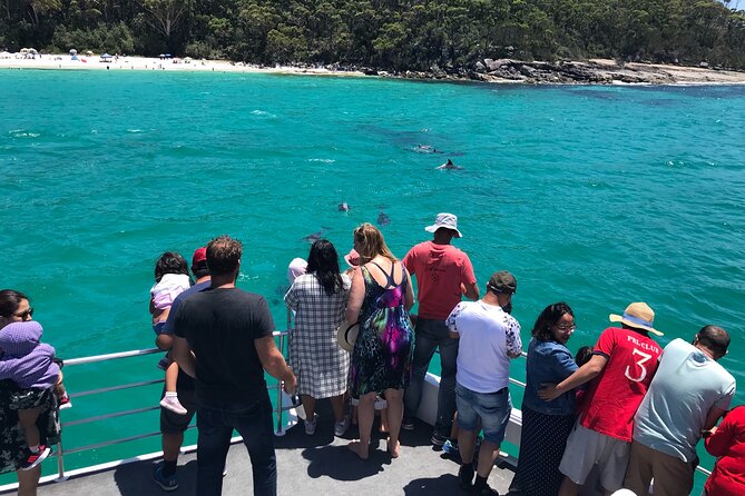 Jervis Bay Dolphin Cruise - Crew service, safety, and comfort