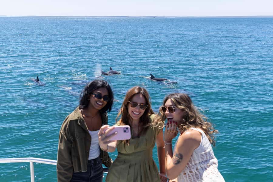 Jervis Bay Dolphin Cruise, Lunch, Berry&Kiama Blowhole Tour - Key points to know before booking
