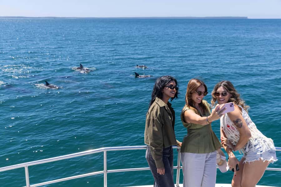 Jervis Bay Dolphin Cruise, Lunch, Berry&Kiama Blowhole Tour - The long ride back to Sydney