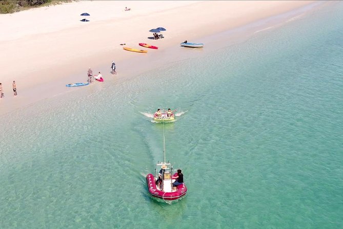 K'gari (Fraser Island) West Coast Half Day Cruise from Hervey Bay - Choosing between swimming, kayaking, and the tube ride