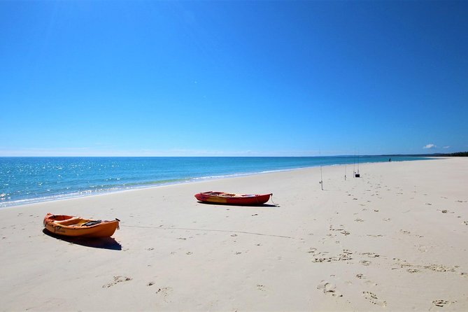 K'gari (Fraser Island) West Coast Half Day Cruise from Hervey Bay - What to expect from snorkeling