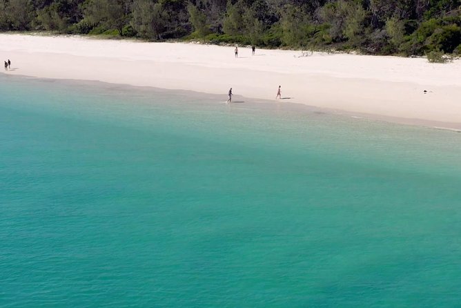 K'gari (Fraser Island) West Coast Half Day Cruise from Hervey Bay - Families, older visitors, and active adults