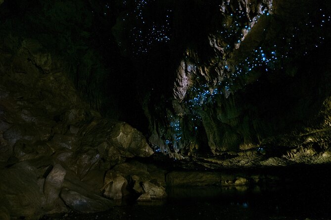 Kawiti Family Glowworm Caves Guided Tour in Bay of Islands - Key points to know before booking