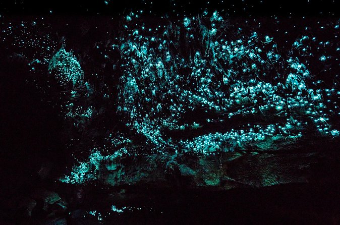 Kawiti Family Glowworm Caves Guided Tour in Bay of Islands - Group size, timing, and what the price covers