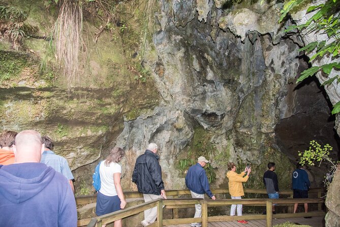 Kawiti Family Glowworm Caves Guided Tour in Bay of Islands - Walking into the Kawiti Family Caves