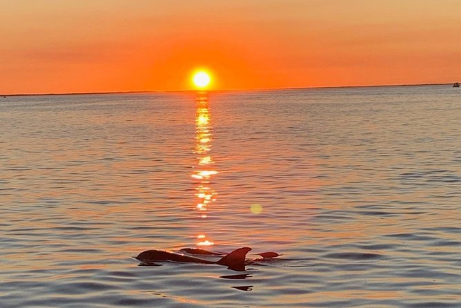 Key Largo Sunset Cruise - Key points to know before you go