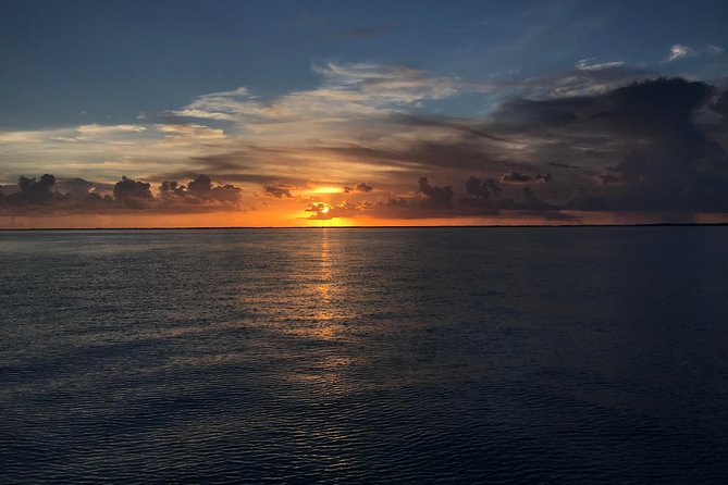 Key Largo Sunset Cruise - Dolphins, ospreys, and the wild-card factor