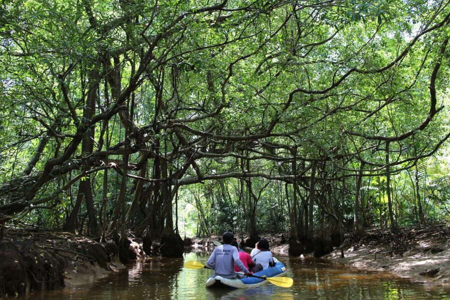 Khao Lak: Sri Phang Nga Canoe and Tam Nang Waterfall Tour - From Khao Lak to the Sang-Nea River