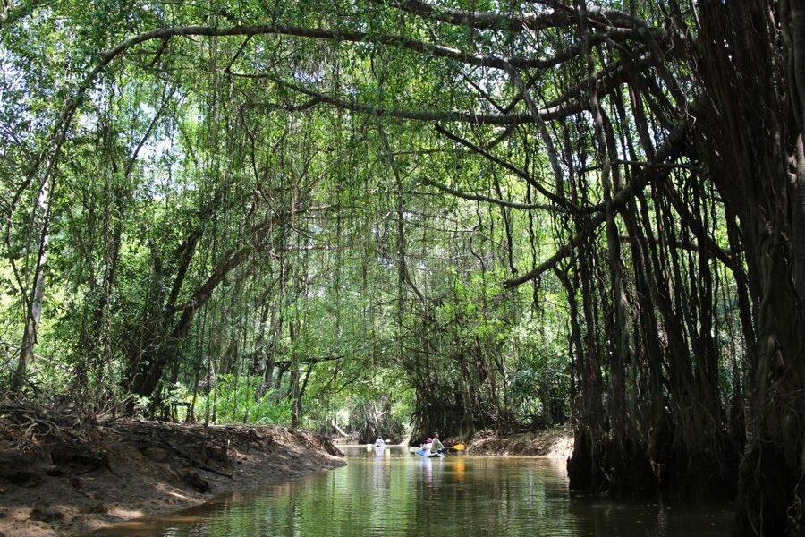 Khao Lak: Sri Phang Nga Canoe and Tam Nang Waterfall Tour - Takuapa Market and the local side of the day