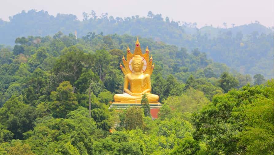 Khao Lak: The Amazing 3 Temples Phang Nga Tour - What the guide and group size mean