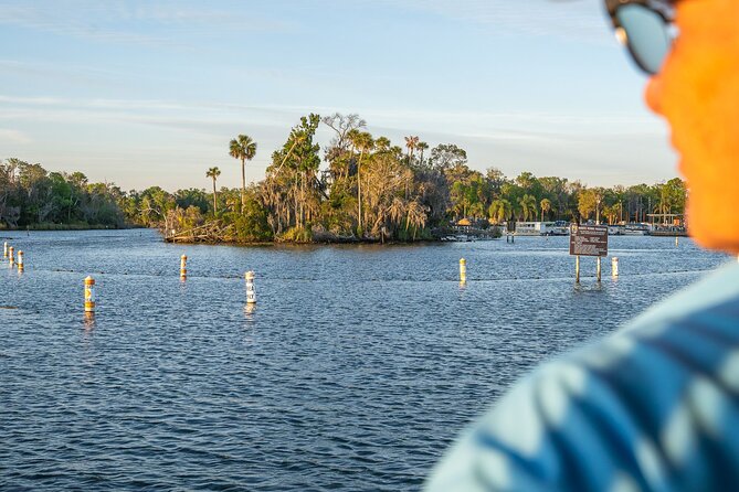 Kings Bay Crystal River Eco Cruise - Why Kings Bay Makes This Cruise Worth Considering