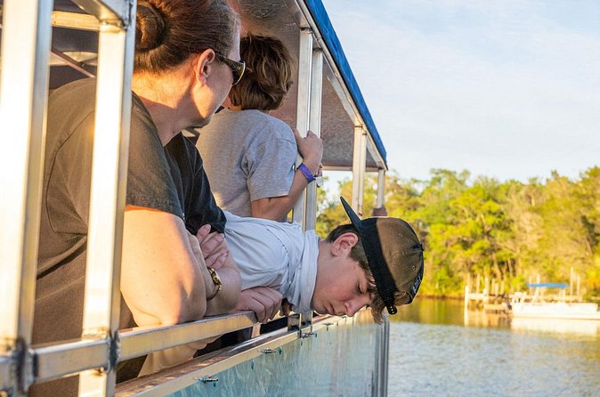 Kings Bay Crystal River Eco Cruise - Who Will Get the Most From This Cruise
